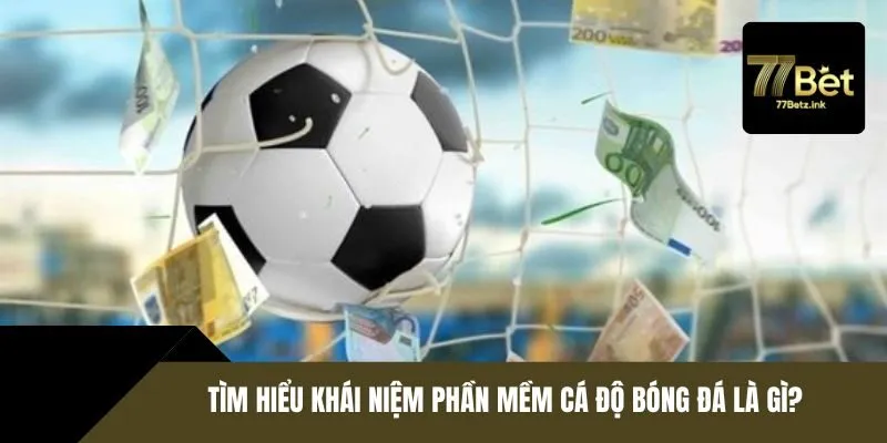 Tìm hiểu khái niệm phần mềm cá độ bóng đá là gì?