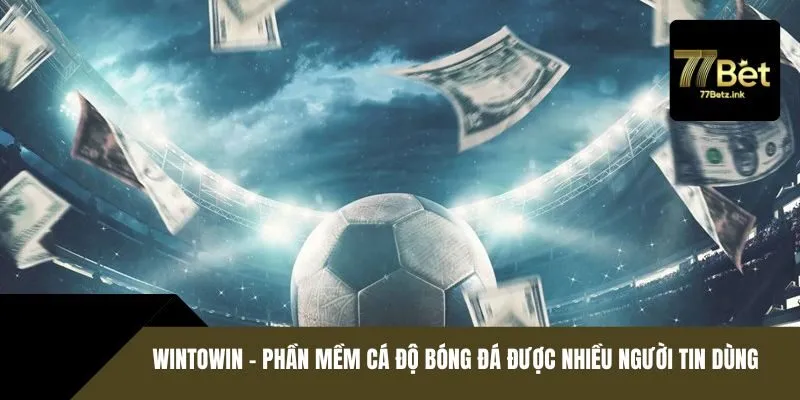 Wintowin – phần mềm cá độ bóng đá được nhiều người tin dùng